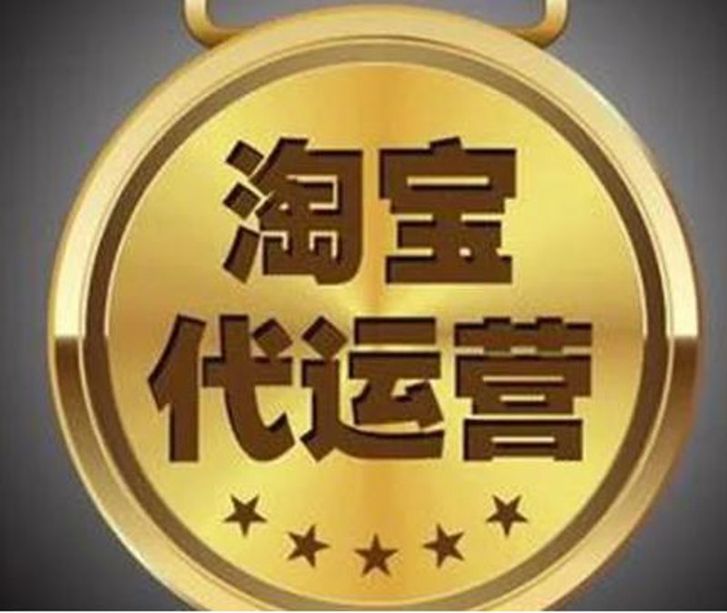 岳桦电子商务公司的品牌之路